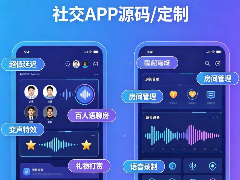 软件开发